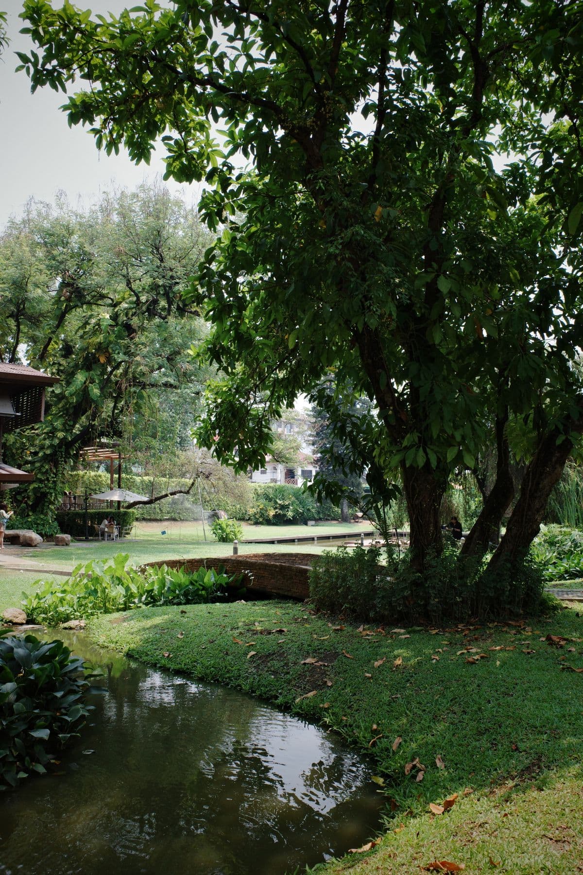 Green hotel garden and pond